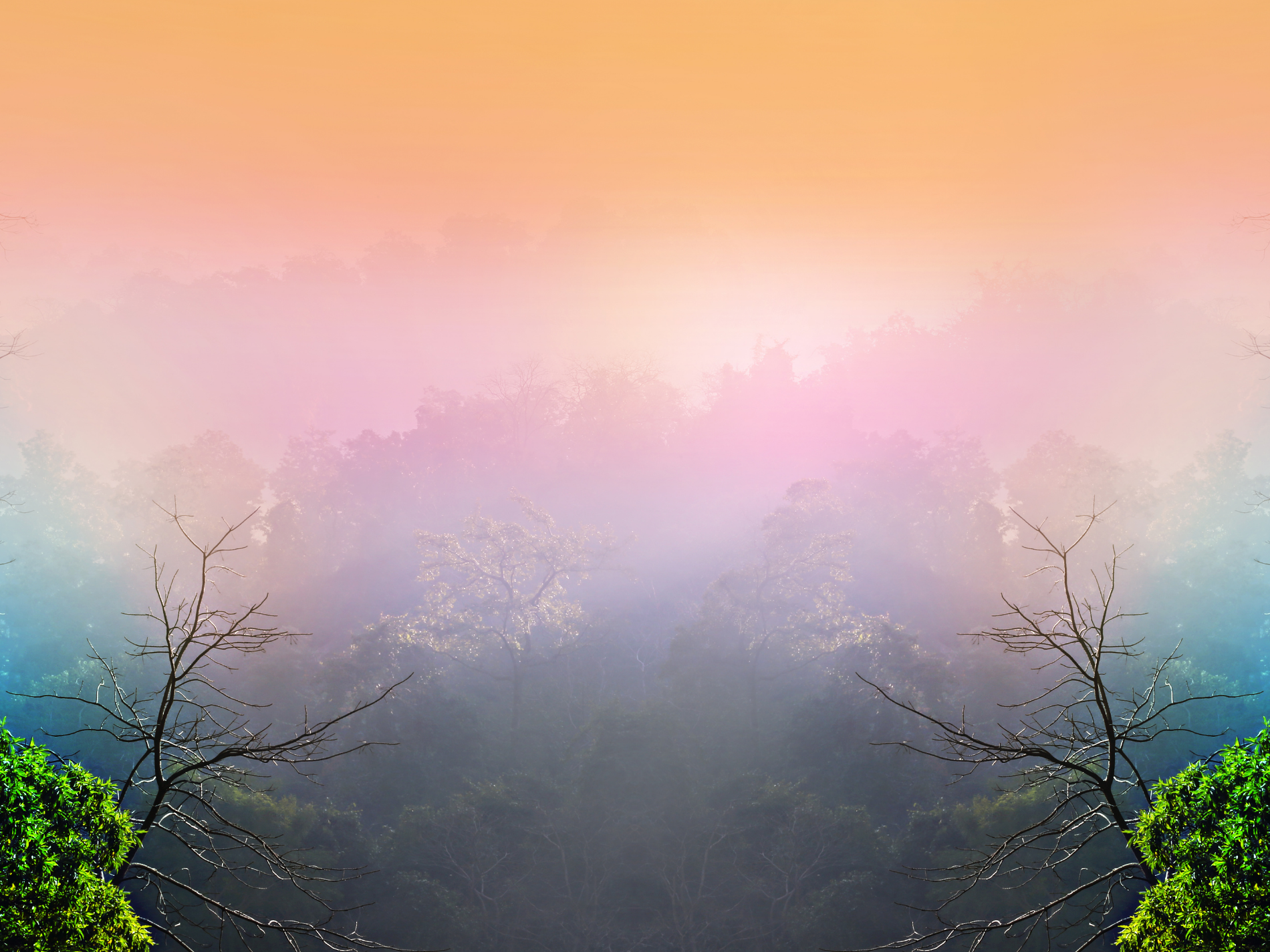 collection-banner-image